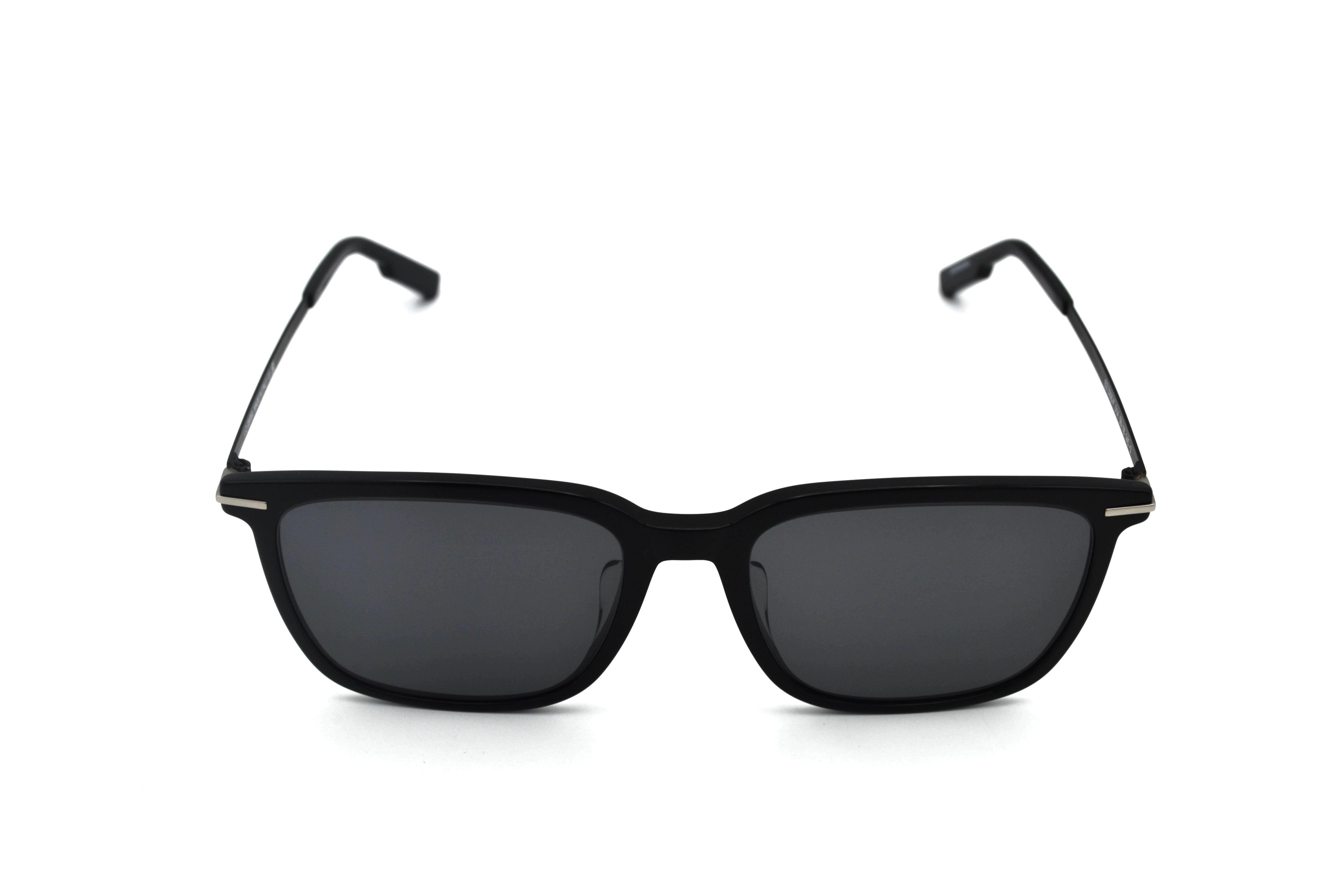 Gafas de sol Ermenegildo Zegna EZ0206 01A - Diseño de acetato y metal para hombre